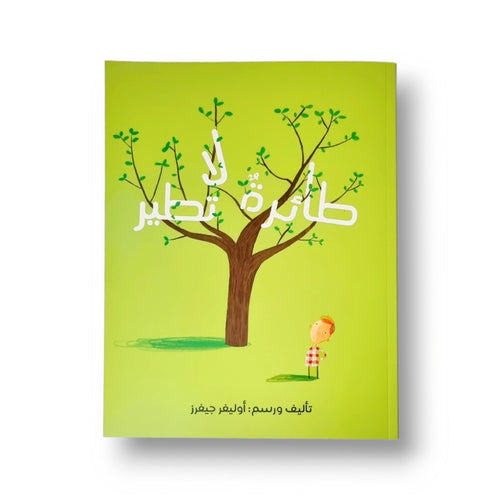 طائرة لا تطير