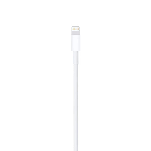Lightning to USB Cable (1m)
