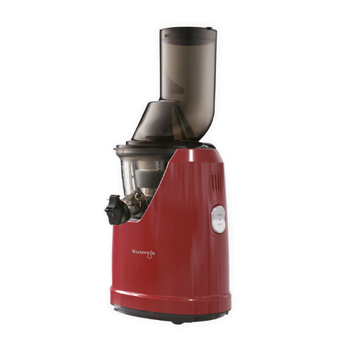 B1700 Slow Juicer